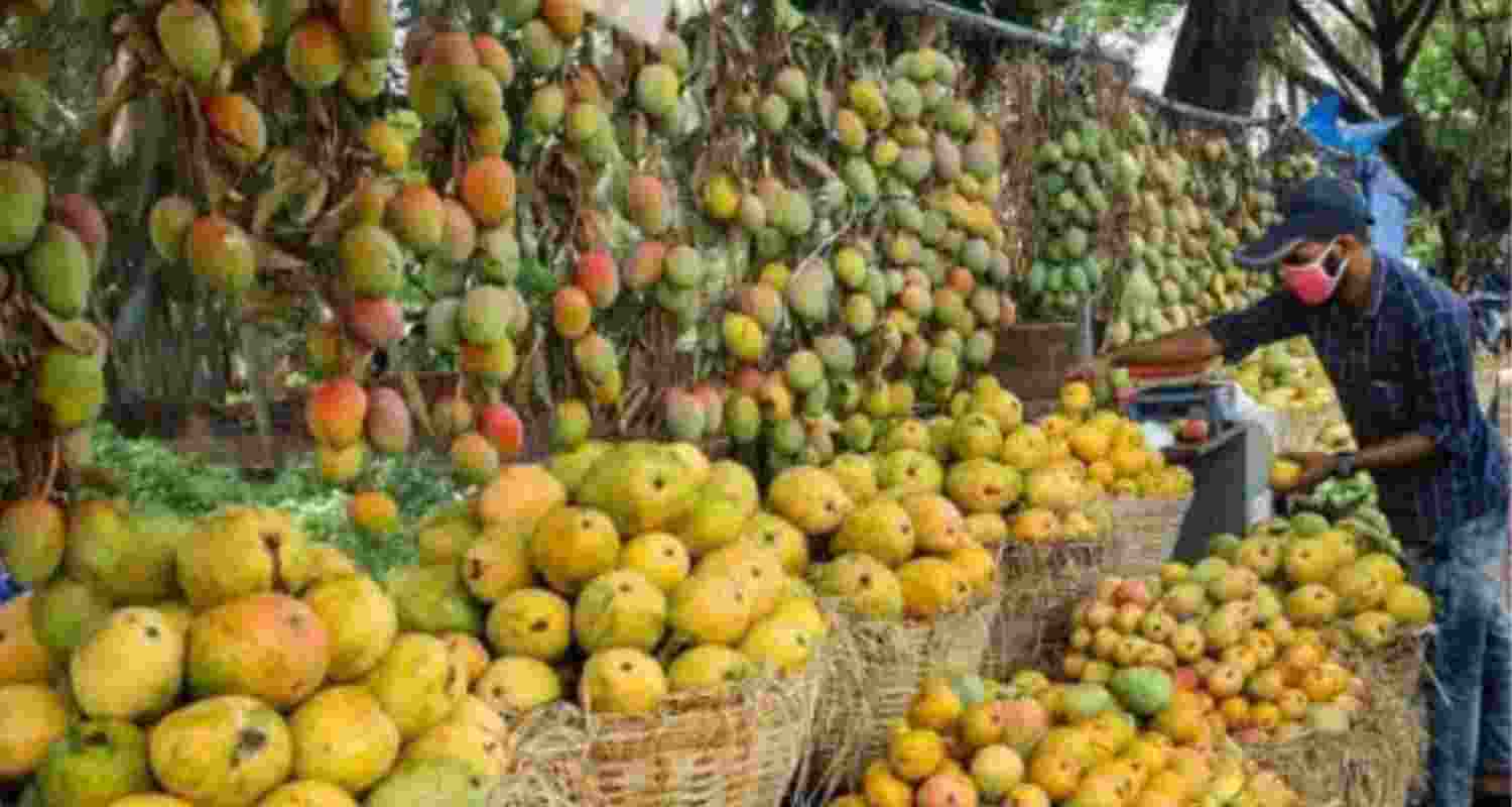 Mangoes in Odisha.