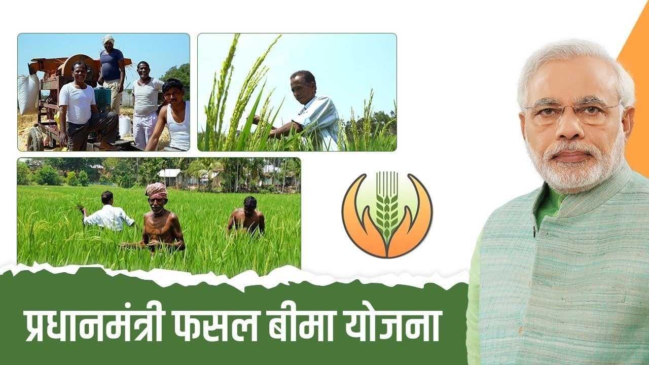 Enrollment in Crop Insurance Scheme Surges; Farmers Benefit from PMFBY 