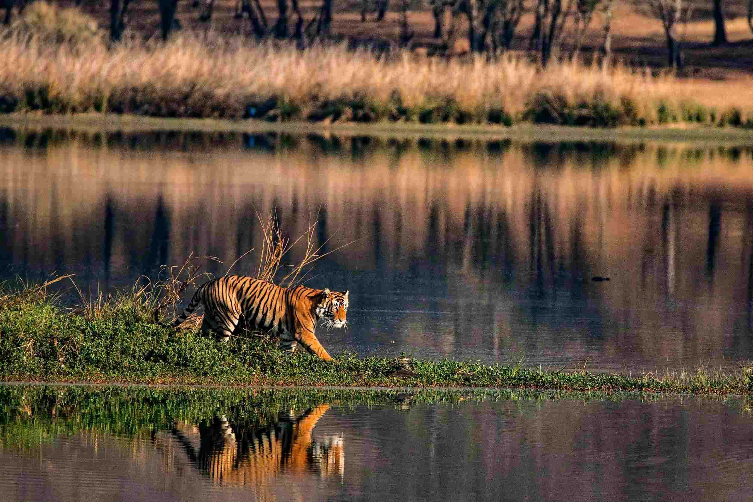 World wetlands day 2024