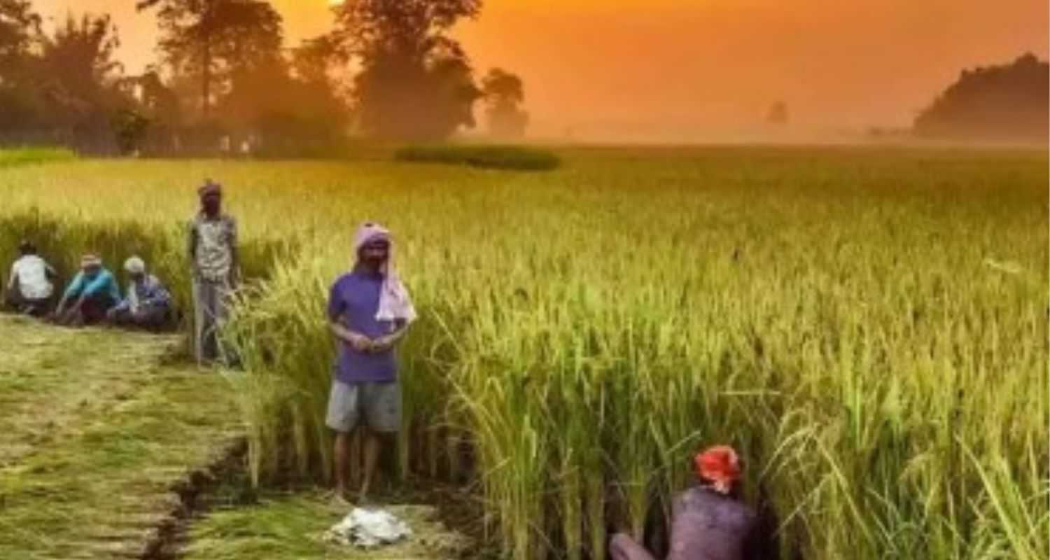 Tamil Nadu farmers