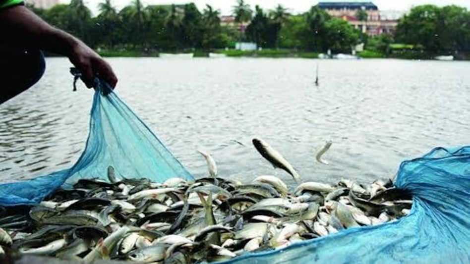 The Tripura government is set to establish an integrated aqua park in the Unakoti district to enhance tourism and the fisheries sector, according to an official statement on Wednesday.