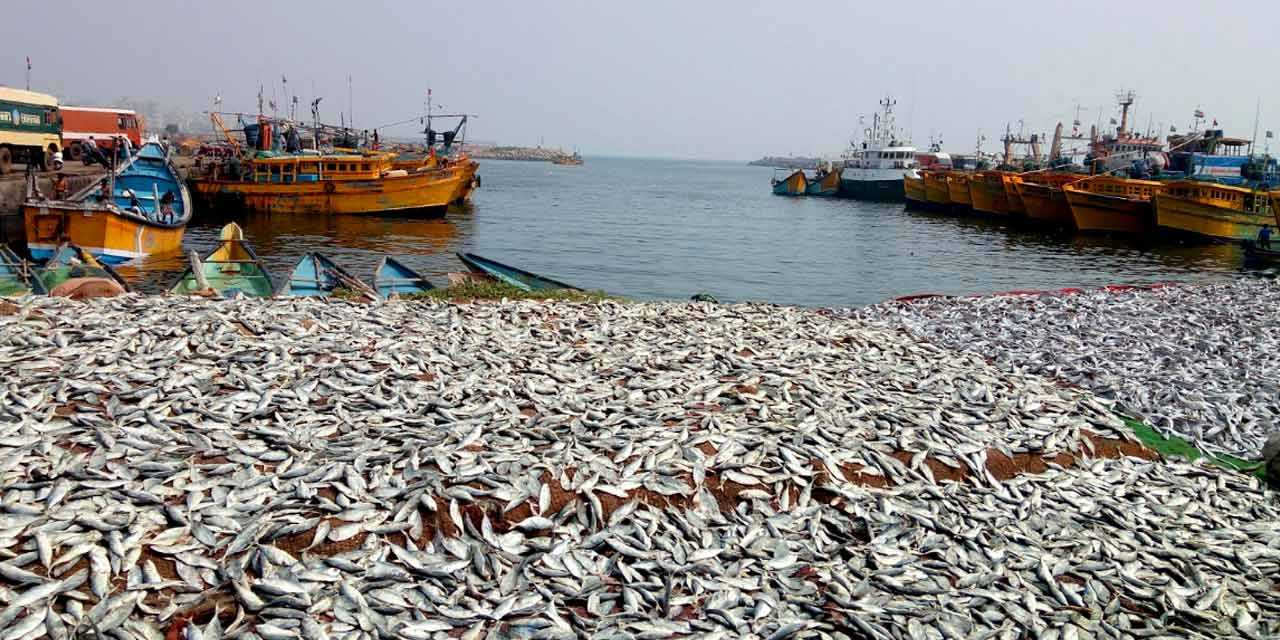 The initiative aims to enhance the utility of the harbour for fishermen through the construction of sheds, repairs, and the provision of vital amenities.