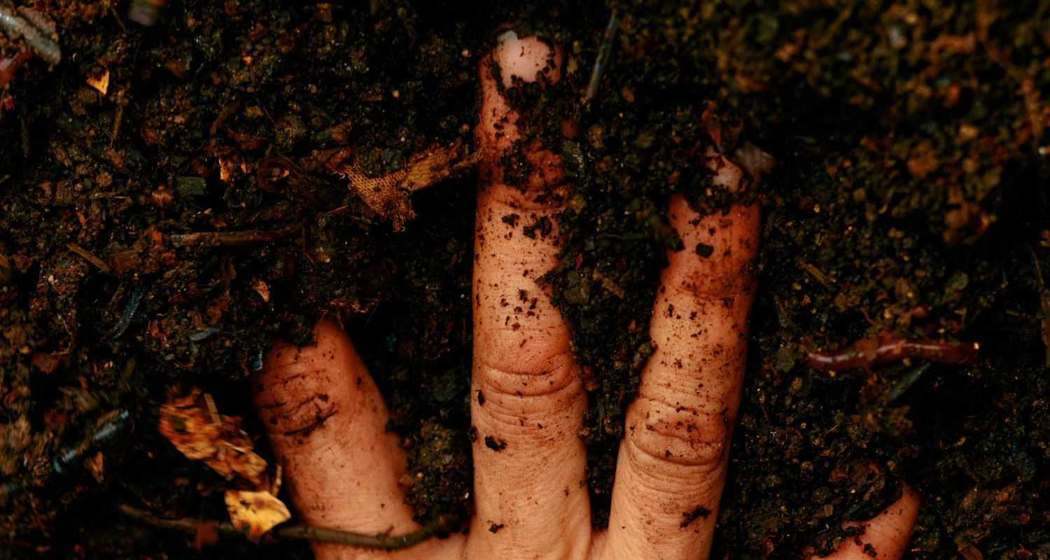 How healthy soil benefits your gut, brain, and health