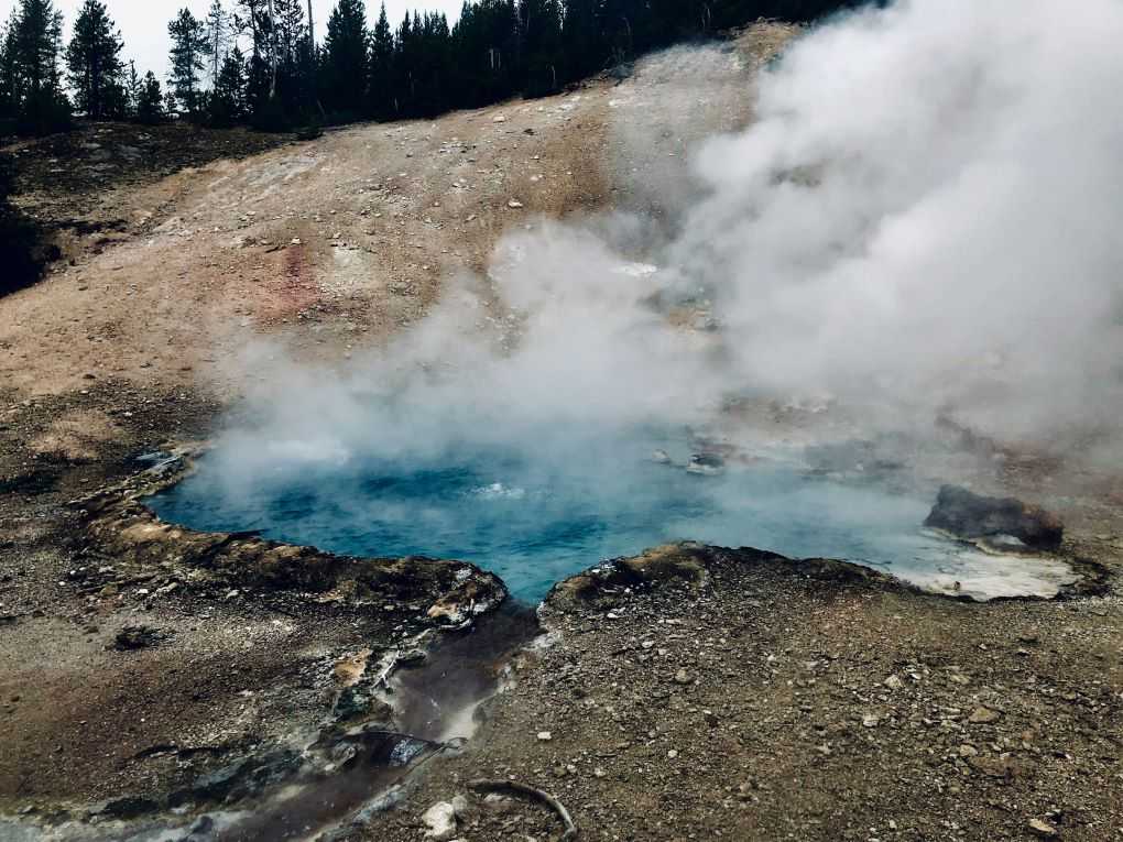 Archaea, a third form of life discovered in the 1970s that live by extracting energy from hydrogen, forms ultra-small cells to minimise their energy needs. Many are also parasites of other microbes, stealing organic matter to fuel their own growth.