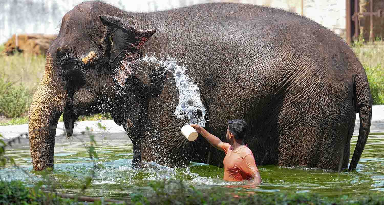 Mumbai's Hot Summer Day