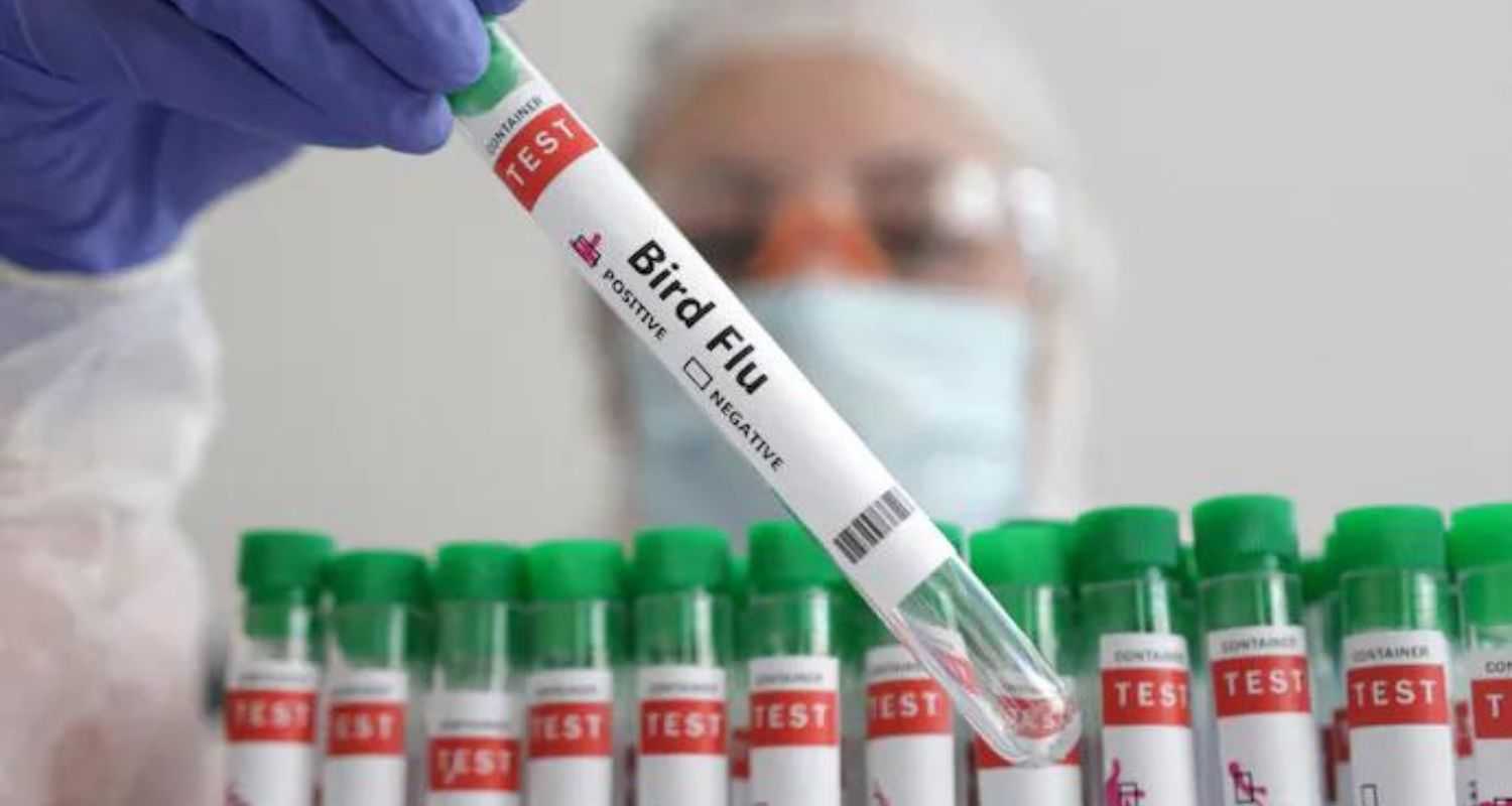 Mexico Man Dies from First Human H5N2 Bird Flu Case.