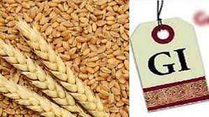 Bundelkhand's Kathiya Gehu secures GI Tag: A gluten-free, protein-rich superfood