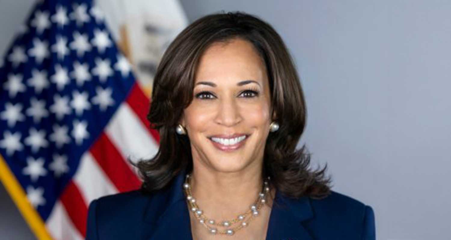 Kamala Harris has attracted the support of enough delegates to become the Democratic Party's nominee for president, US media outlets reported on Tuesday.