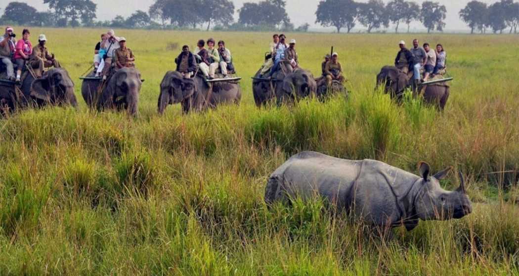 Kaziranga National Park and Tiger Reserve (KNPTR).