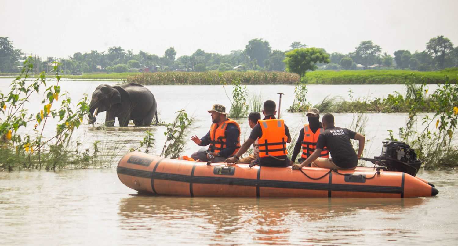 Assam Floods: 129 animals dead at Kaziranga National Park