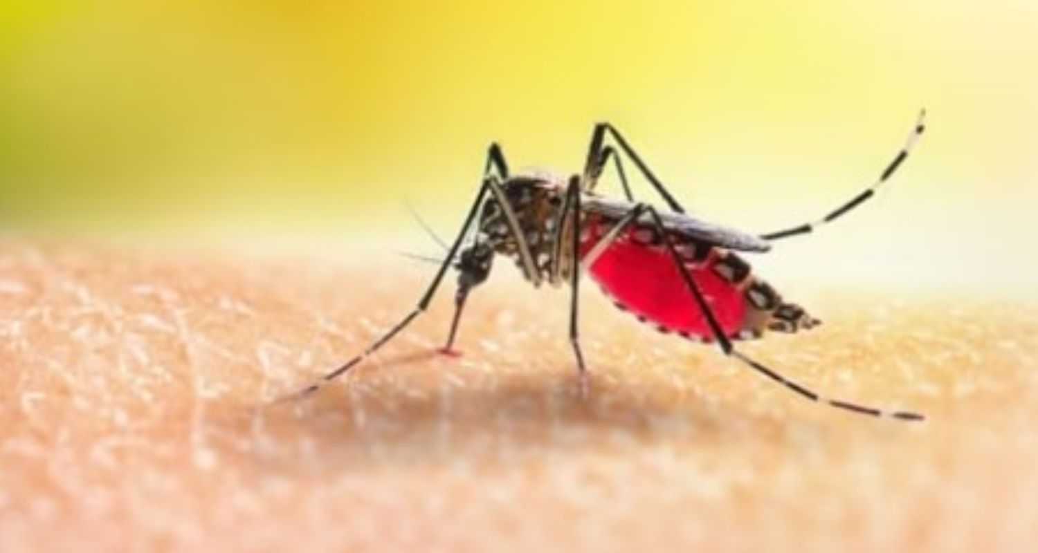 Malaria associated with ageing