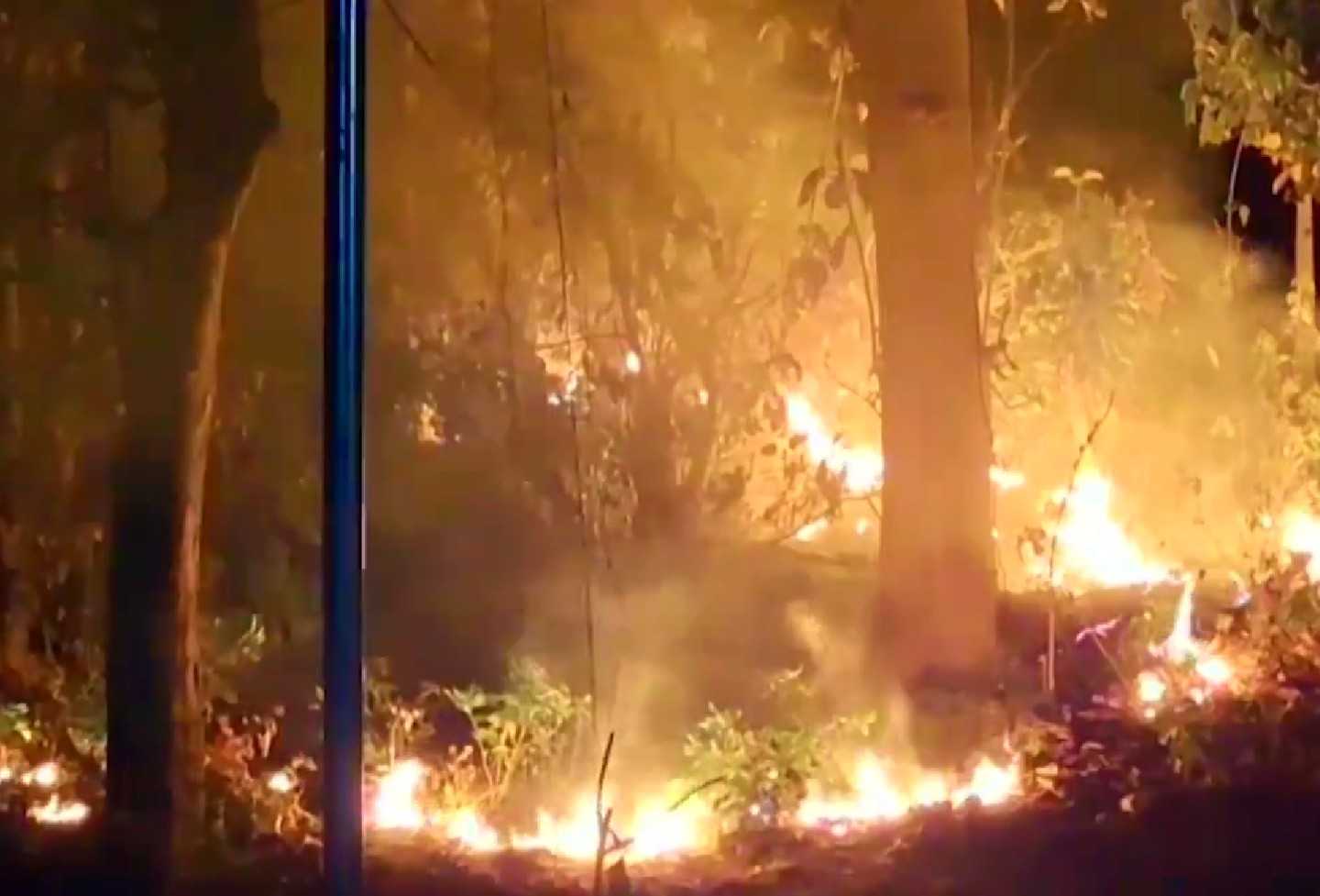 Nainital forest fires reach main town area, Army called in 