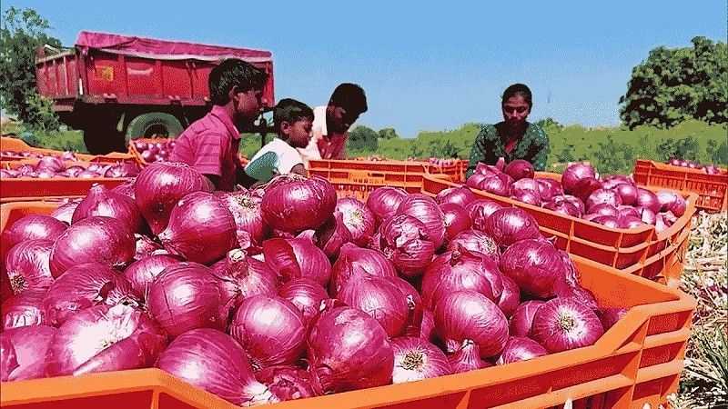 Govt permits export of 99,150 metric tonnes of onion to 6 countries