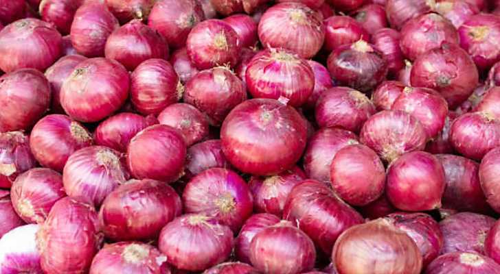 Centre has so far procured 25,000 tonnes of onion 2023 kharif season for maintaining a buffer stock Consumer Affairs Secretary Rohit Kumar Singh