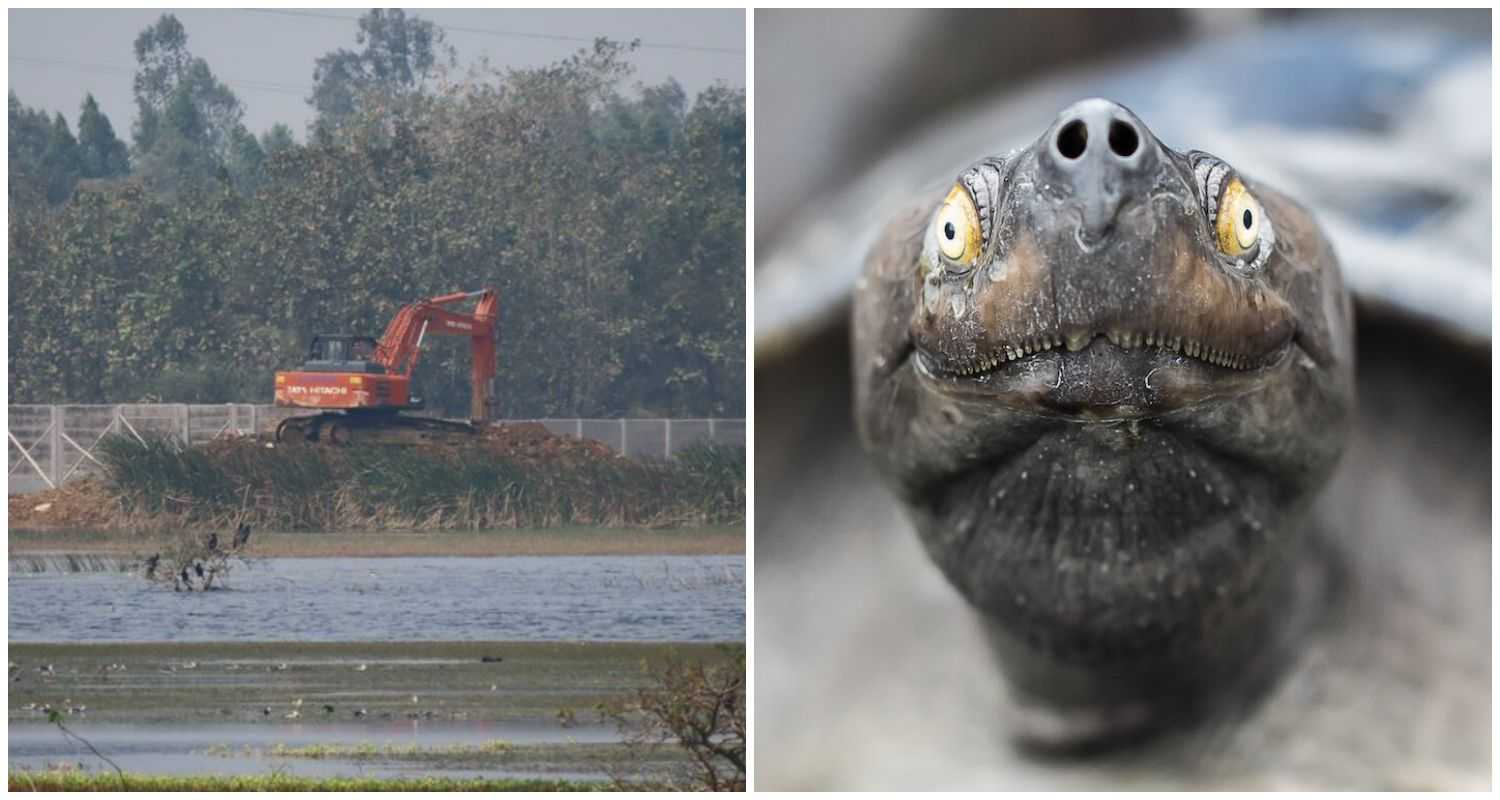 The National Green Tribunal has censured Uttar Pradesh officials for allowing mining activities in a protected turtle sanctuary along the Ganga, highlighting serious environmental and legal concerns.