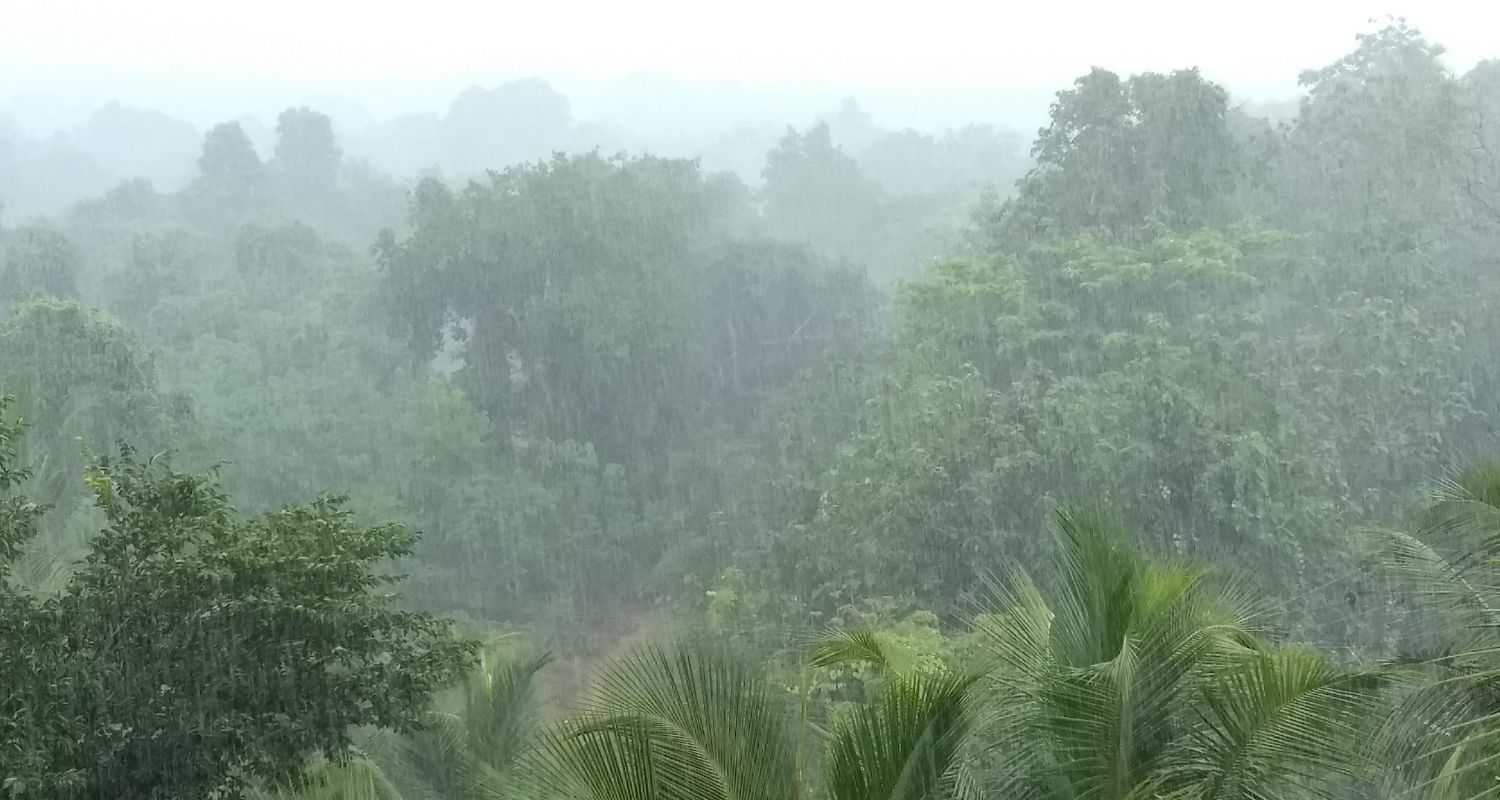 Heavy Rains Predicted in Western Ghats Disrupt Tourism.