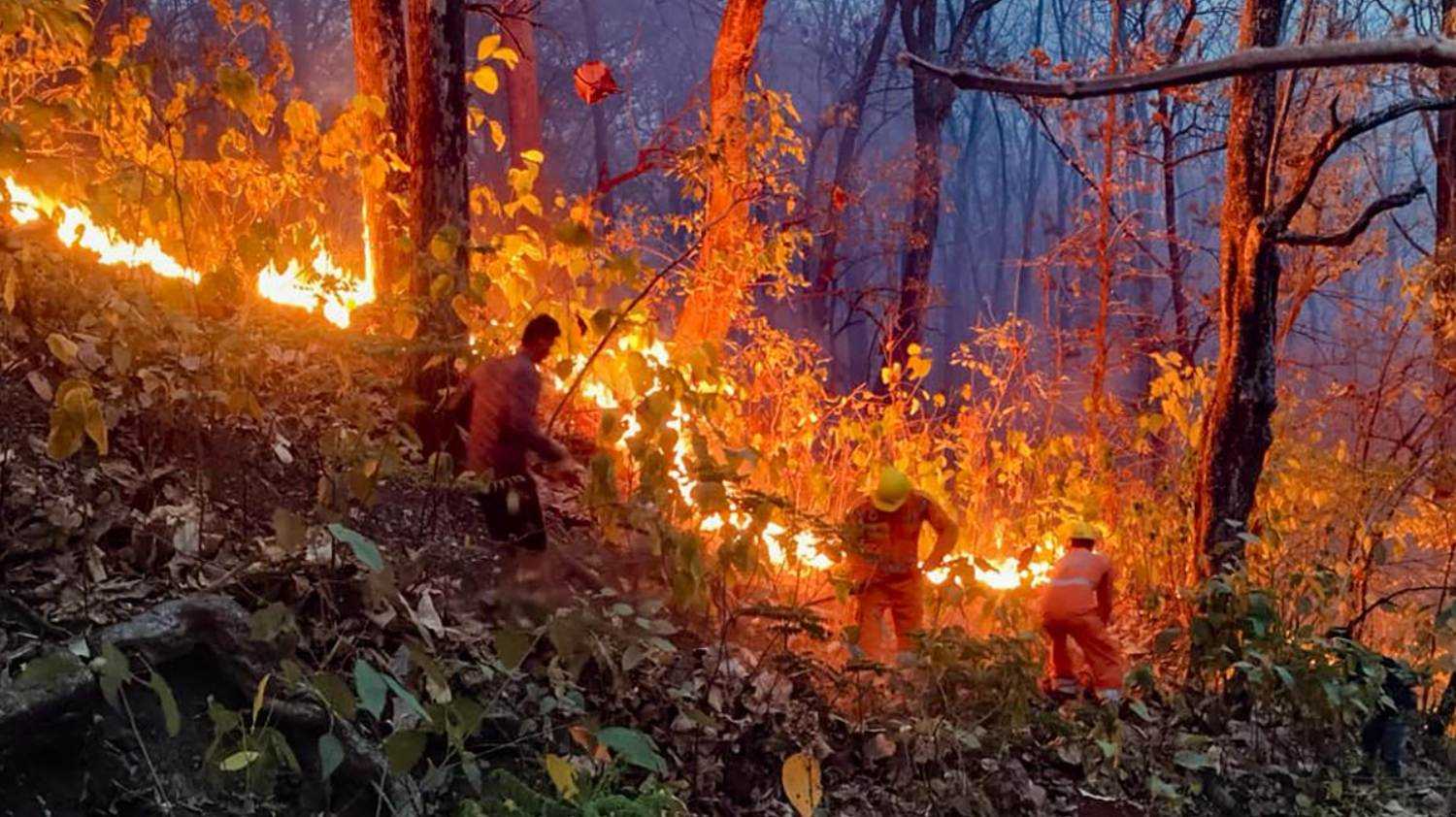 Forest flames engulf Uttarakhand: 68 fire incidents in 24 hours