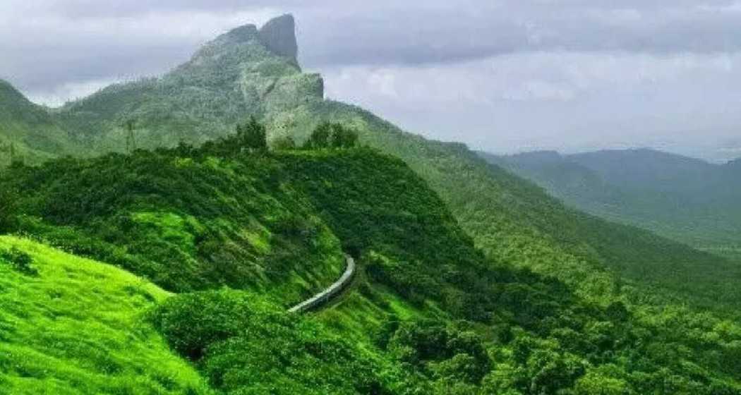 A breathtaking view of the serene and lush Western Ghats, rich in biodiversity and natural beauty.