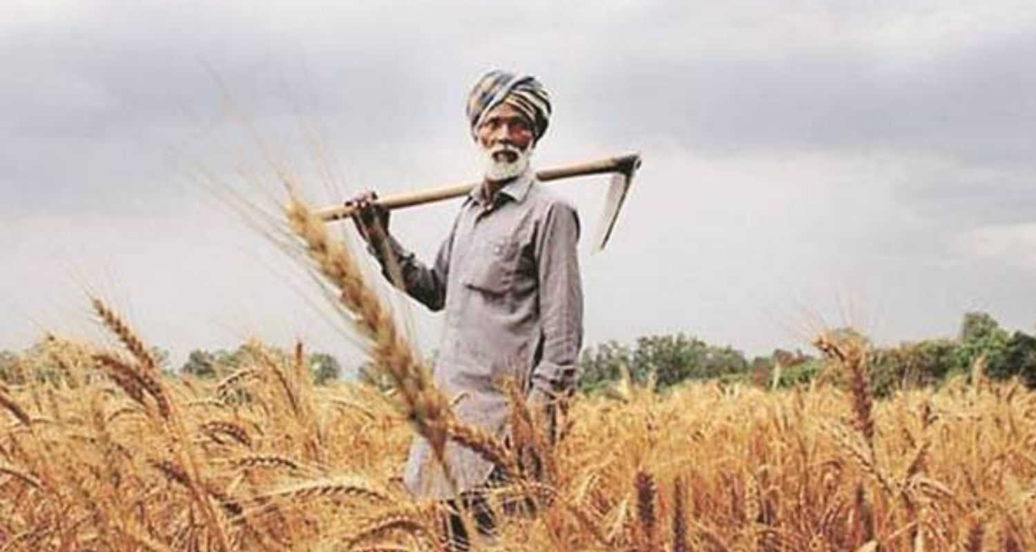 India’s wheat subsidies hurting American farmers.