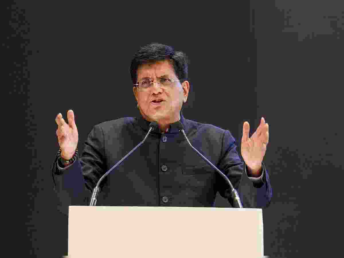 Goyal vows to address realtors' financing issues with RBI