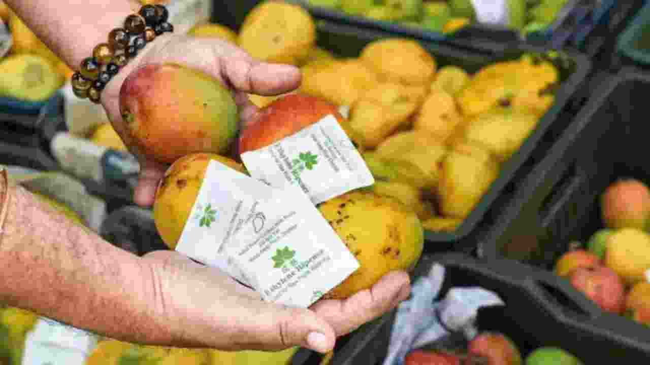 FSSAI warns fruit traders against using calcium carbide for fruit ripening