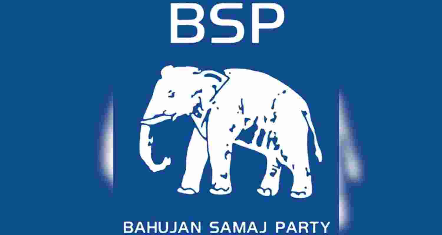 BSP Logo. 