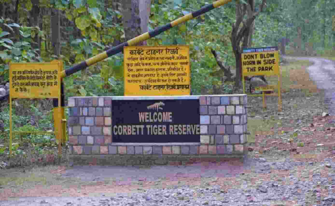 Apex court was hearing petition alleging that forest officials allowed a private operator to ply buses within the core area of the tiger reserve as some villages within the park did not have access to roads.