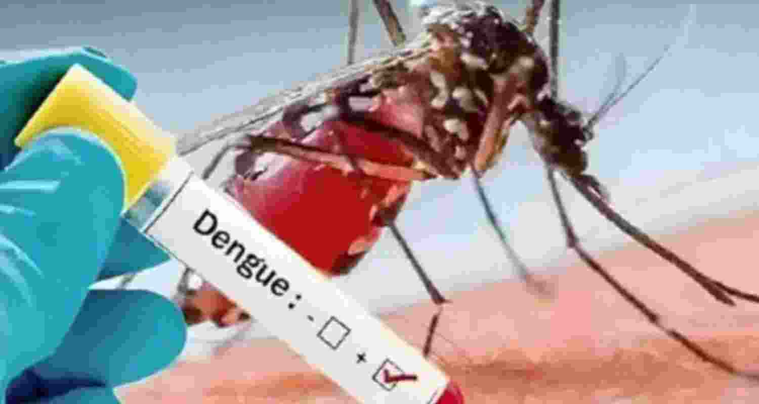 Karnataka govt declares dengue as epidemic