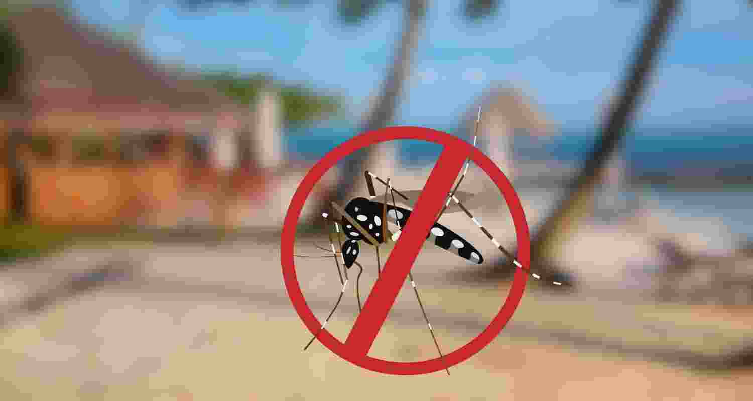 Hidden risk of dengue fever in tropical paradises