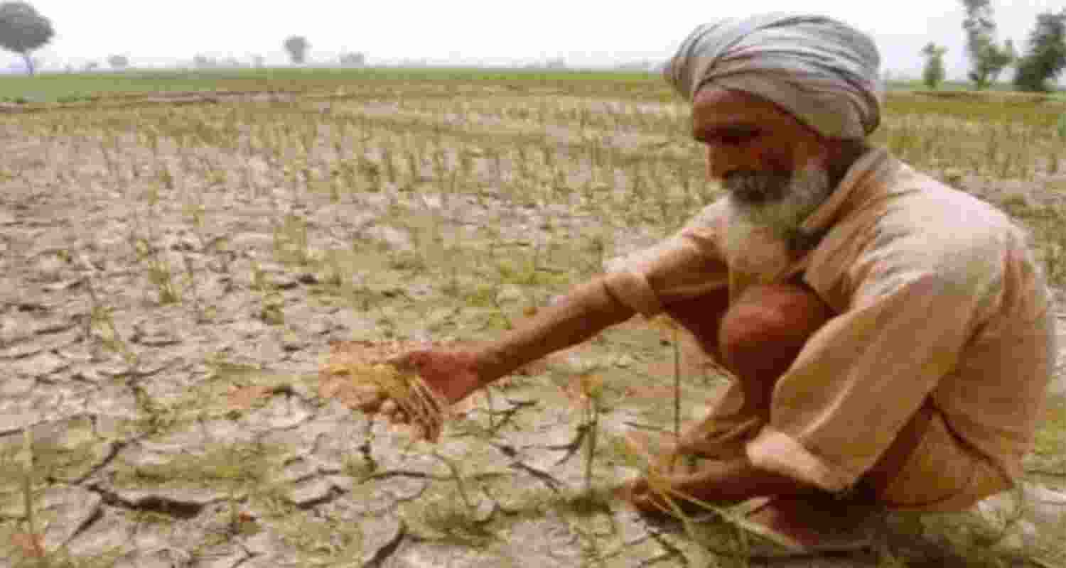 Relief for farmers and state government on drought issue.