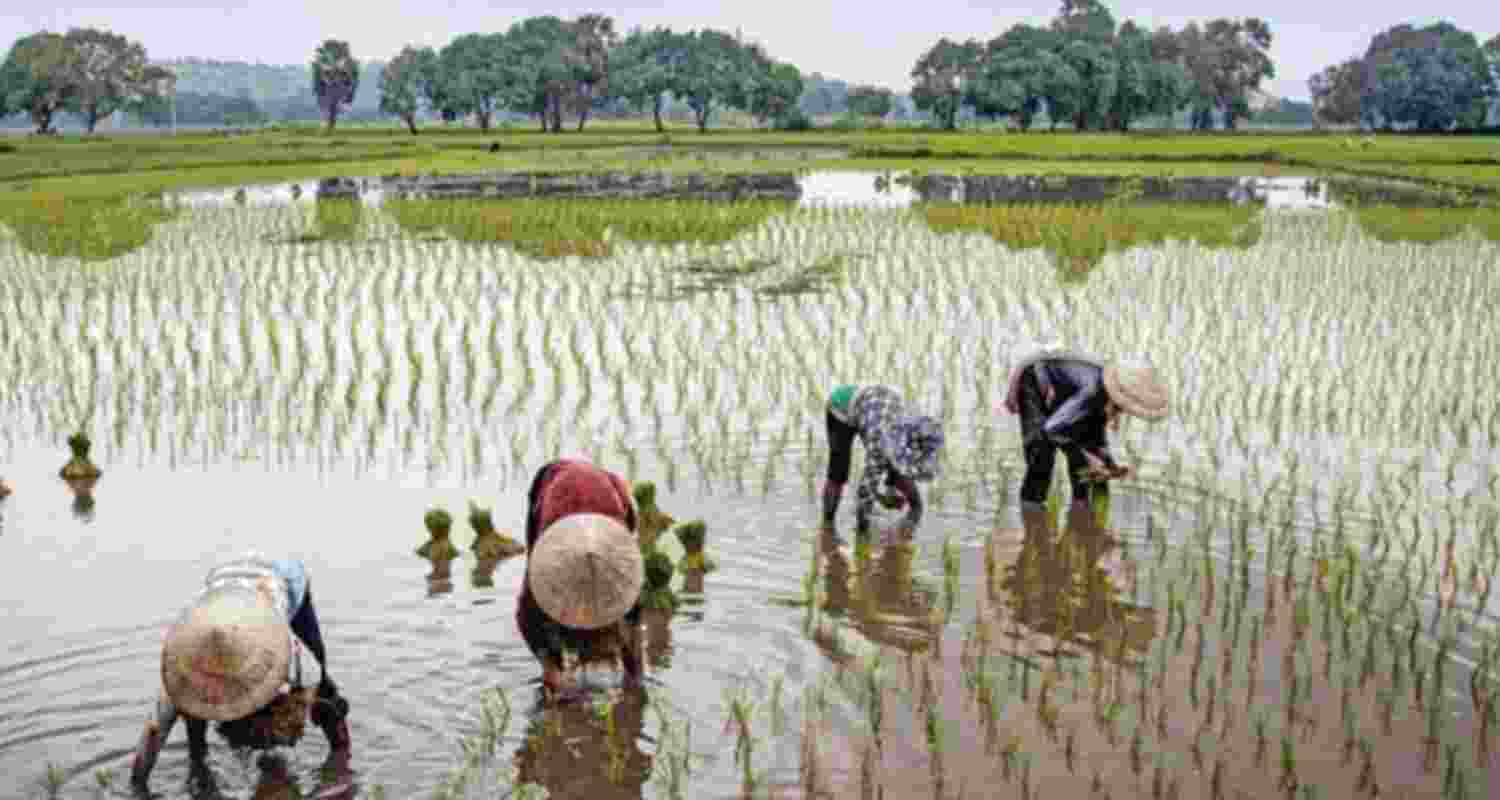 Odisha govt to help farmers
