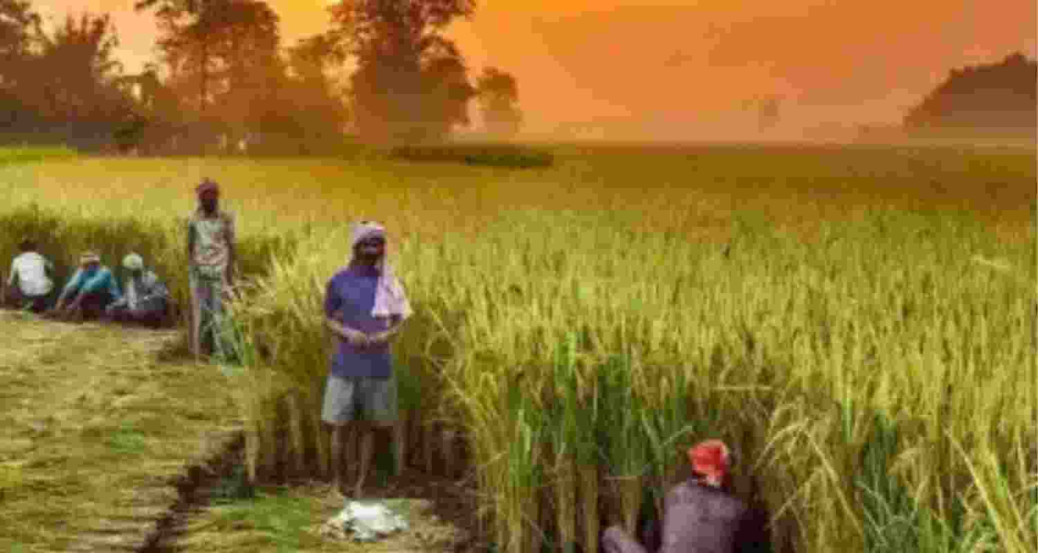 Farm loan waiver in T'gana from today, 70 lakh to benefit