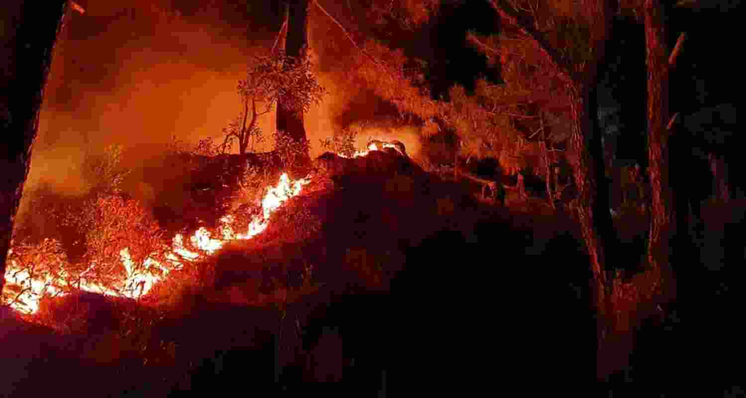 Forest fires were seen in six districts of Jammu and Kashmir.