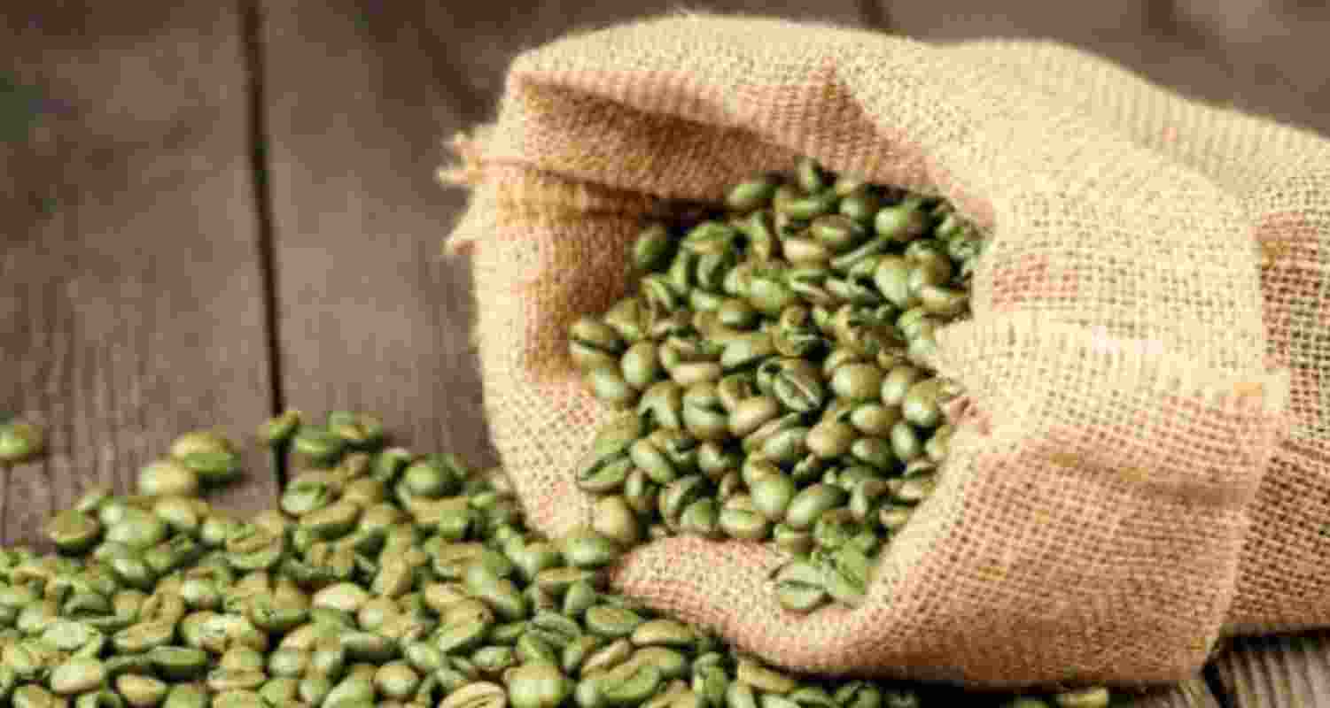 Kerala student aims to popularise green coffee 