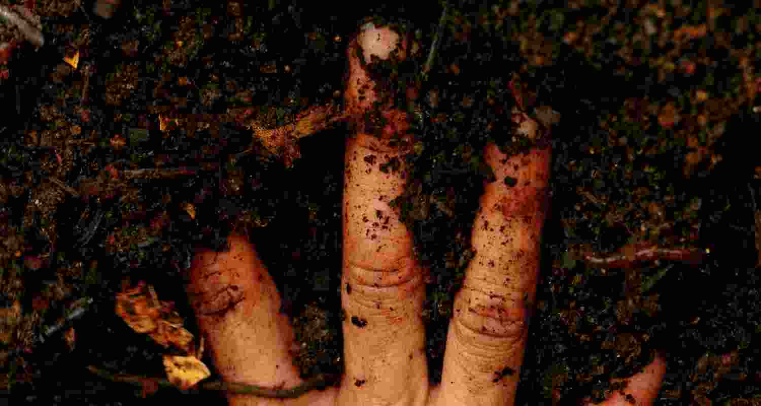 How healthy soil benefits your gut, brain, and health