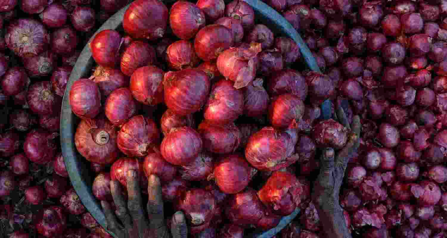Image of onions. 