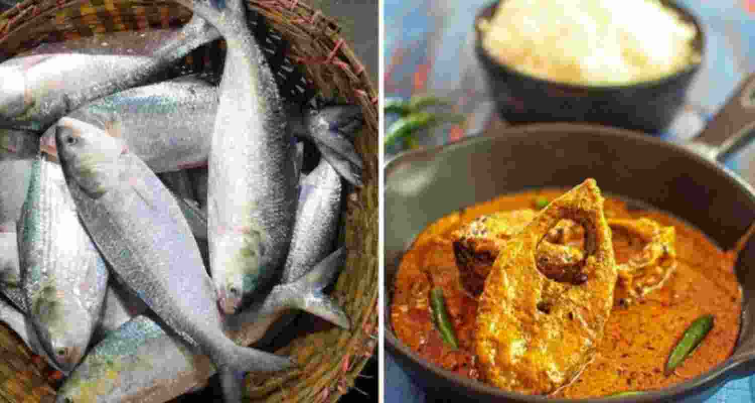 Essence of Hilsa to burn a hole in Indian pockets