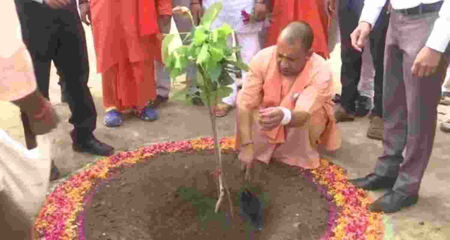 CM Yogi's Green UP Initiative: Planting 35 Crore Saplings