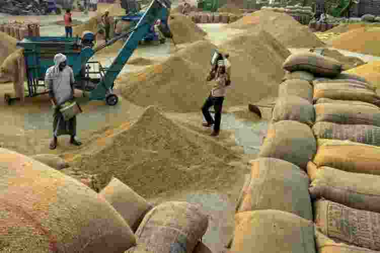 Kharif rice harvest projected to rise despite damage