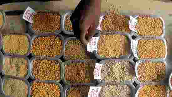 Govt promote pulses production in tribal, naxal-hit areas