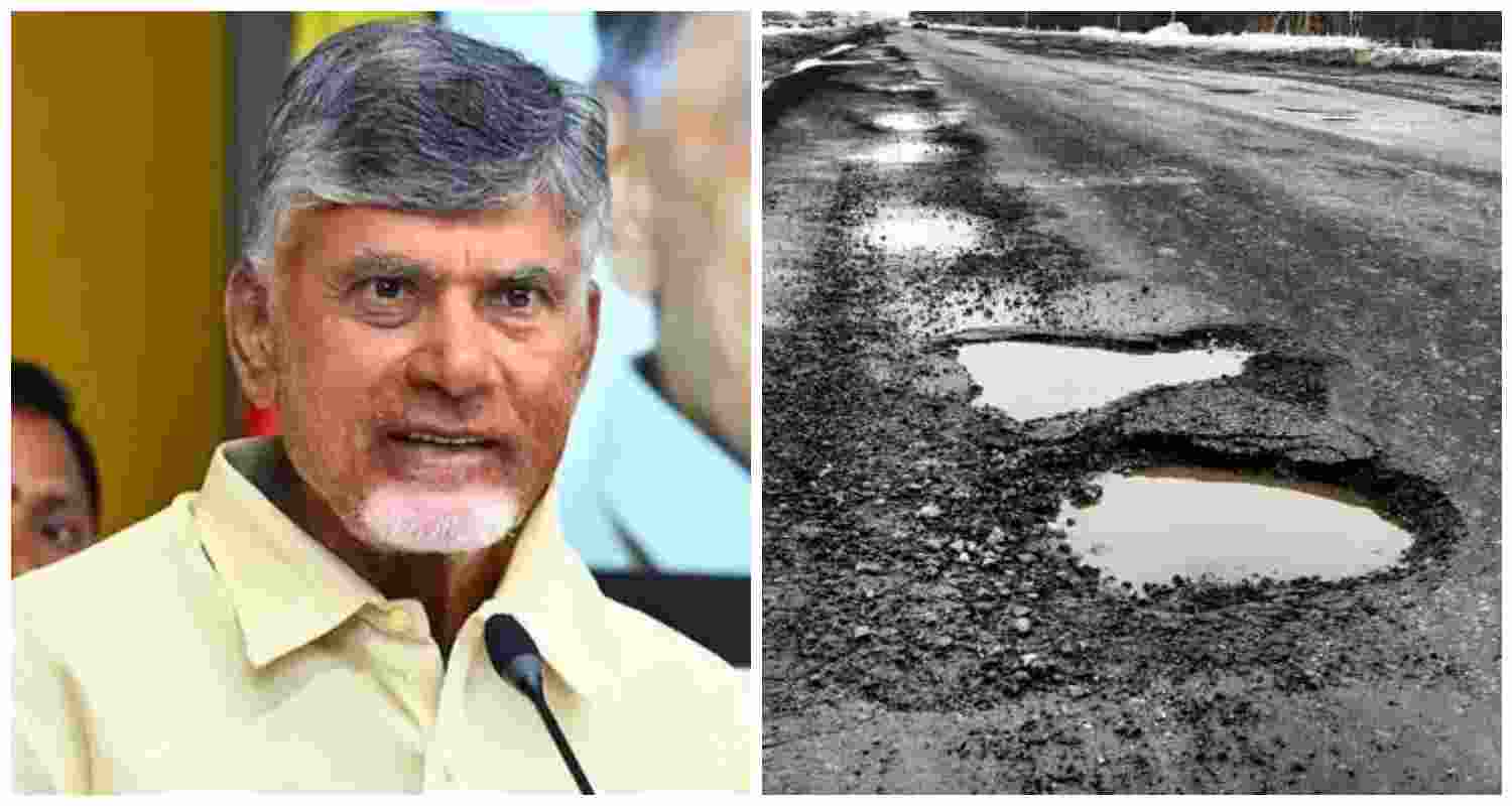 Andhra Pradesh Chief Minister N. Chandrababu Naidu.