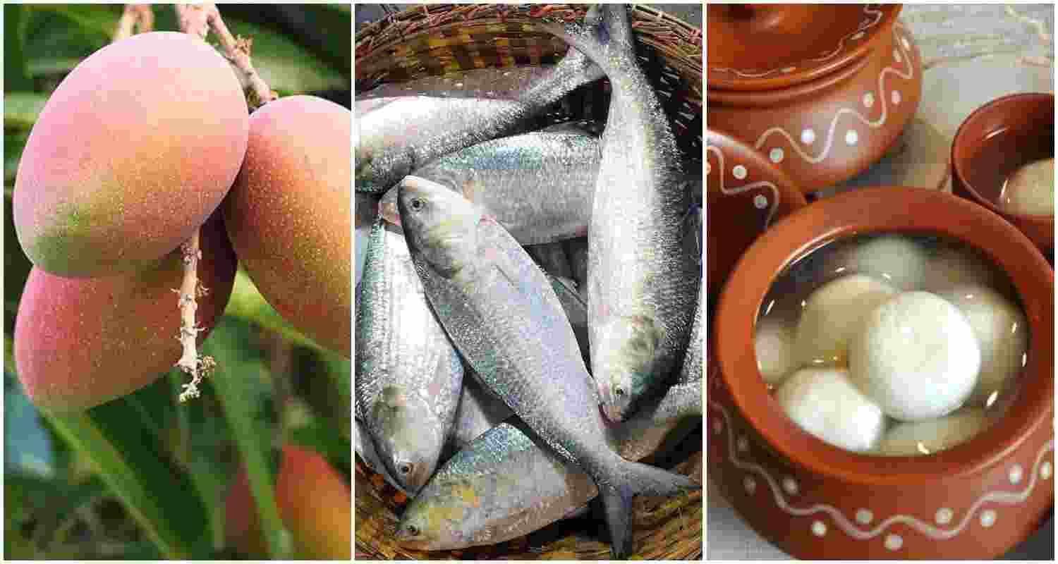 In the picture (from left to right): Haribhanga mangoes, Hilsa fish, Roshogolla sweet. Image for representative use only. 