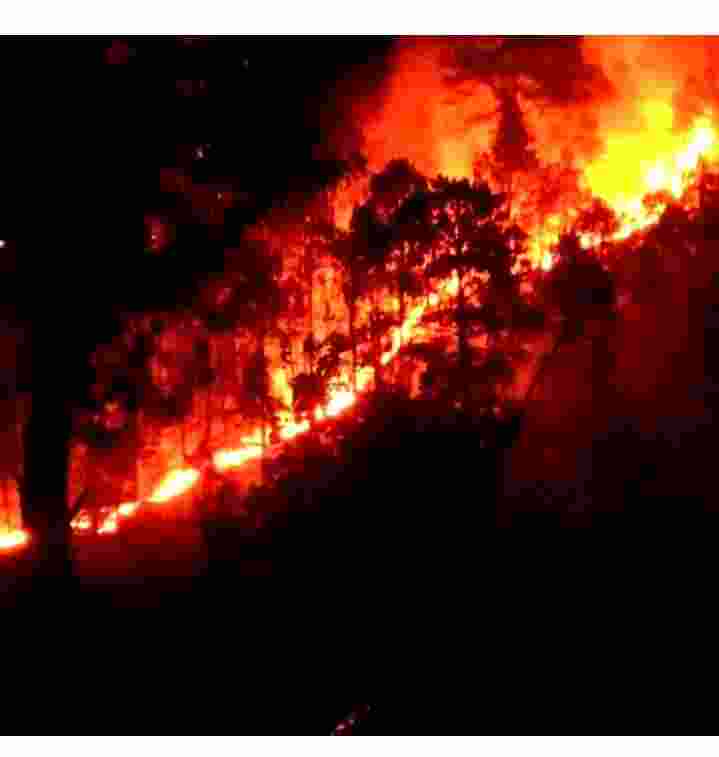 The fire, which started in the Dhara Dogano area of the Basholi belt in the Kathua district and quickly spread to regions close by, was put out after several hours of firefighting by forest department officials and local residents. 