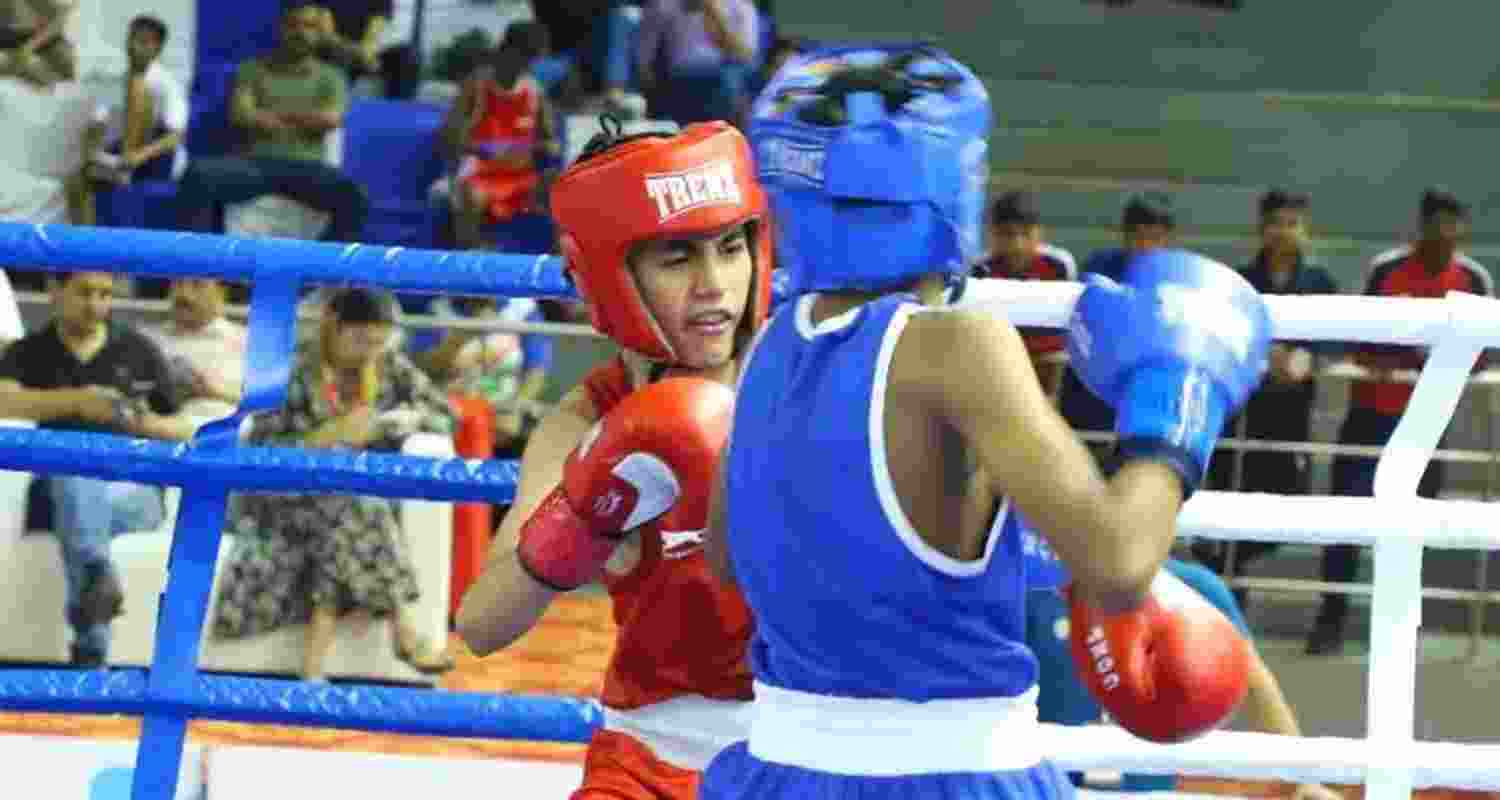 Haryana boxers stamped their authority with a dominating display as six out of seven boxers won comfortably with unanimous 5-0 decisions.
