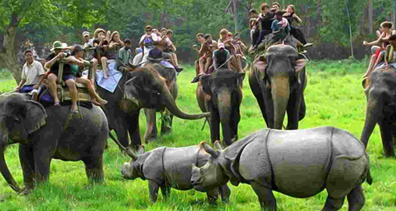 Tourists enjoying elephant safari with rhinoceroses at the Kaziranga National Park, UNESCO's World Heritage site in Assam.