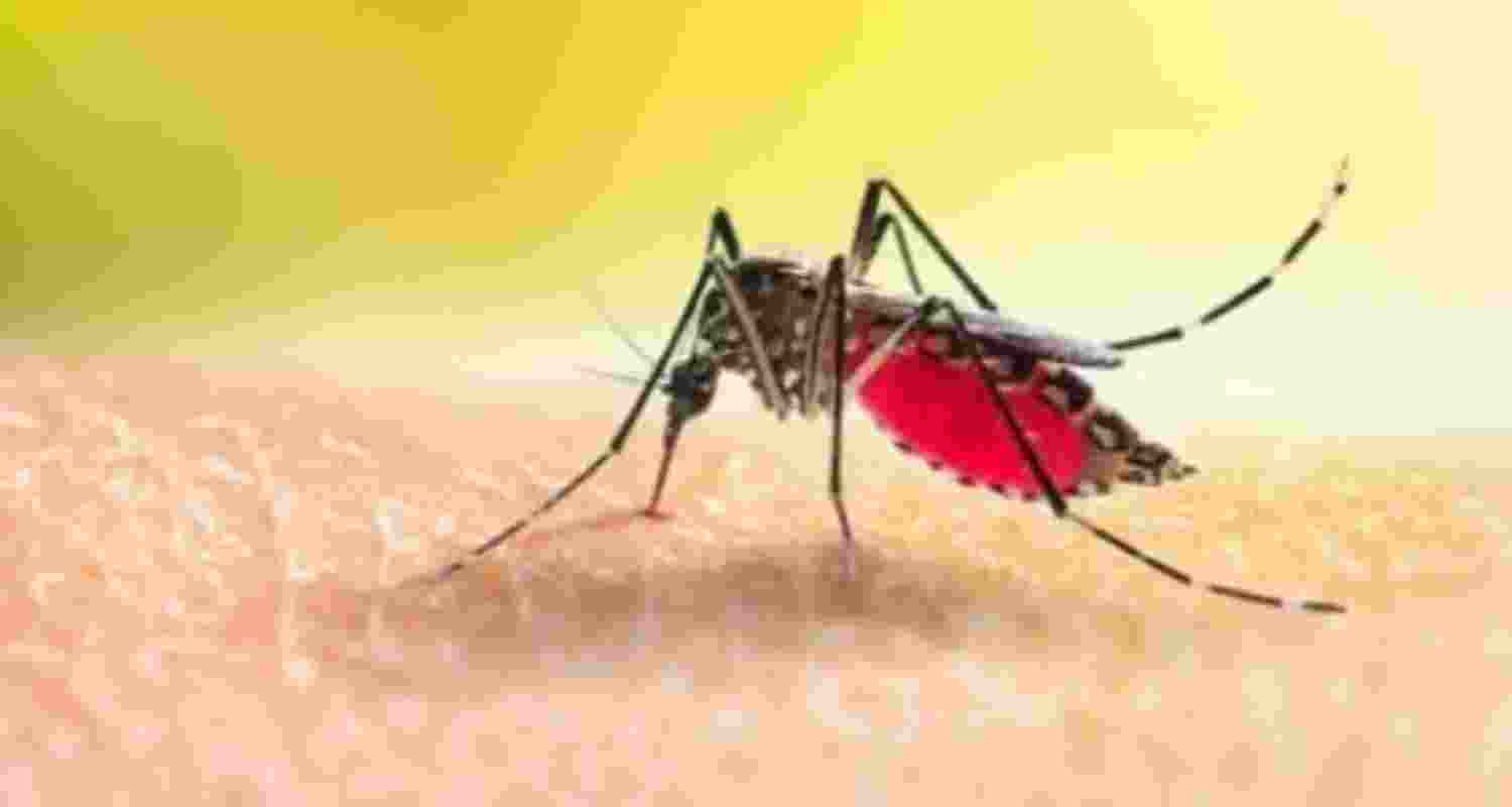 Malaria associated with ageing