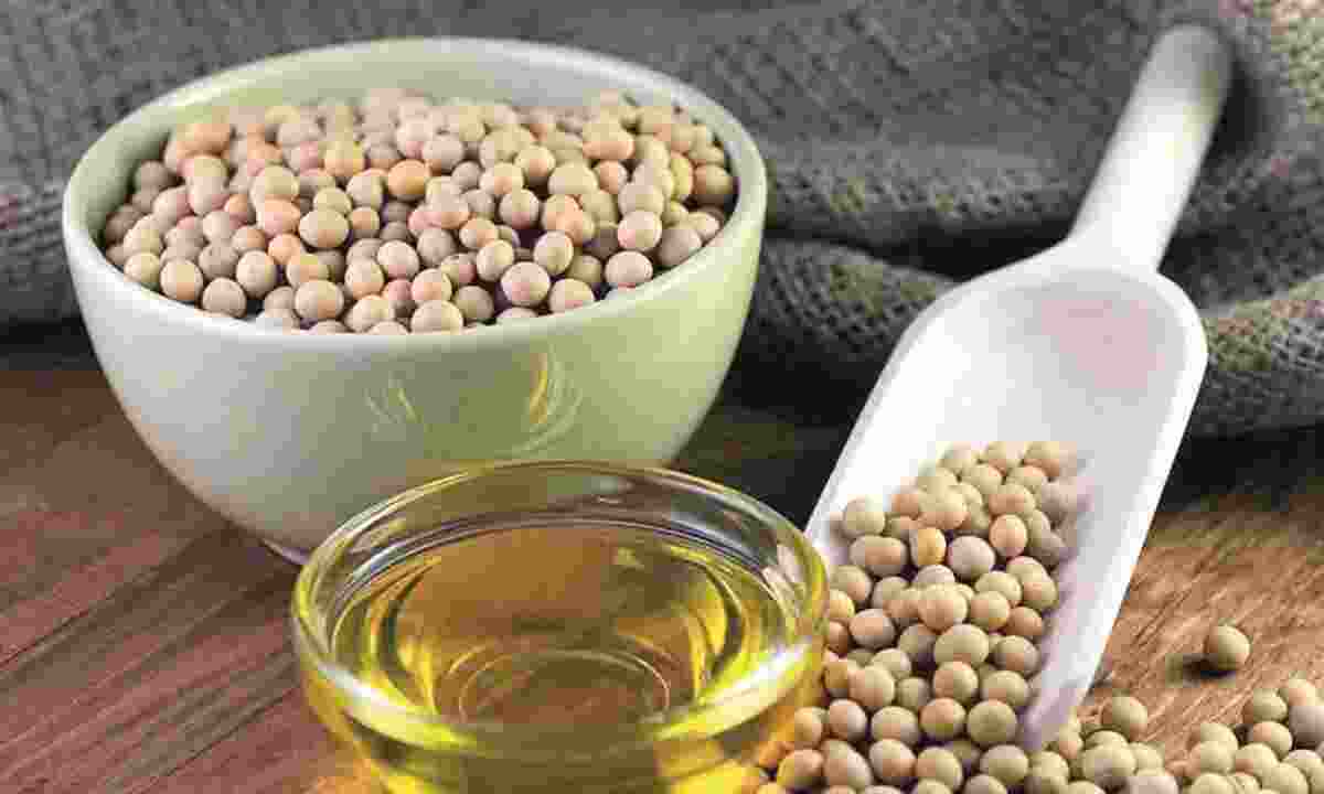 Oilmeals export rose 9 per cent year-on-year in February to nearly 5.16 lakh tonnes on higher outward shipments of soyabean meal, according to trade data.