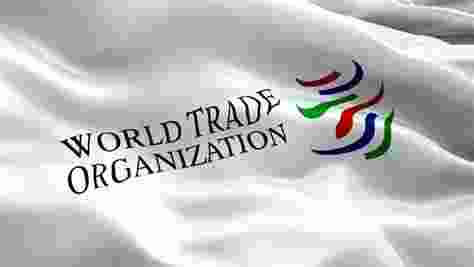 The World Trade Organization (WTO) has forecasted a rebound in global trade for the year 2024, with an anticipated growth rate of 2.6%