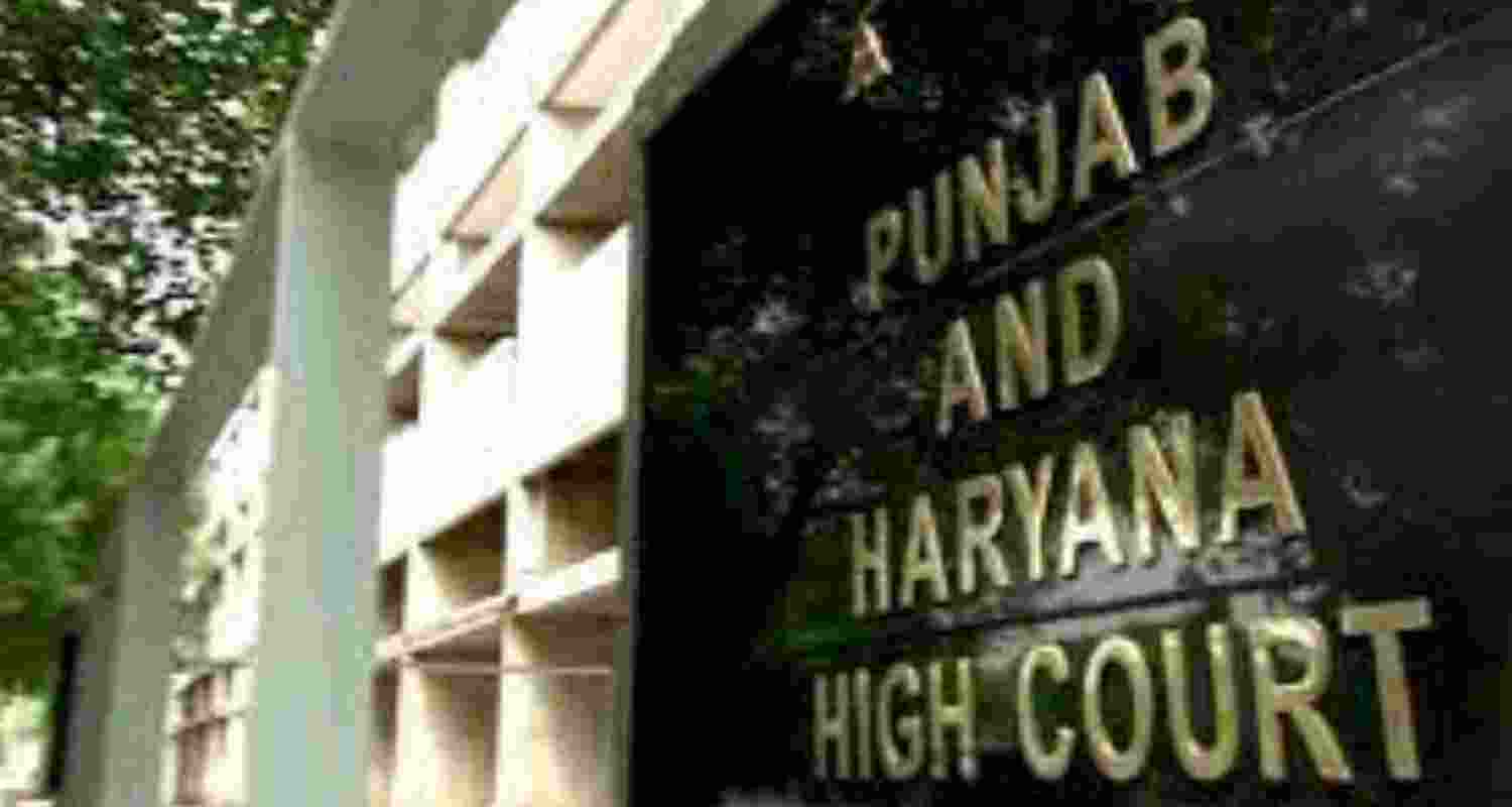 Image of Punjab and Haryana High Court's board. 