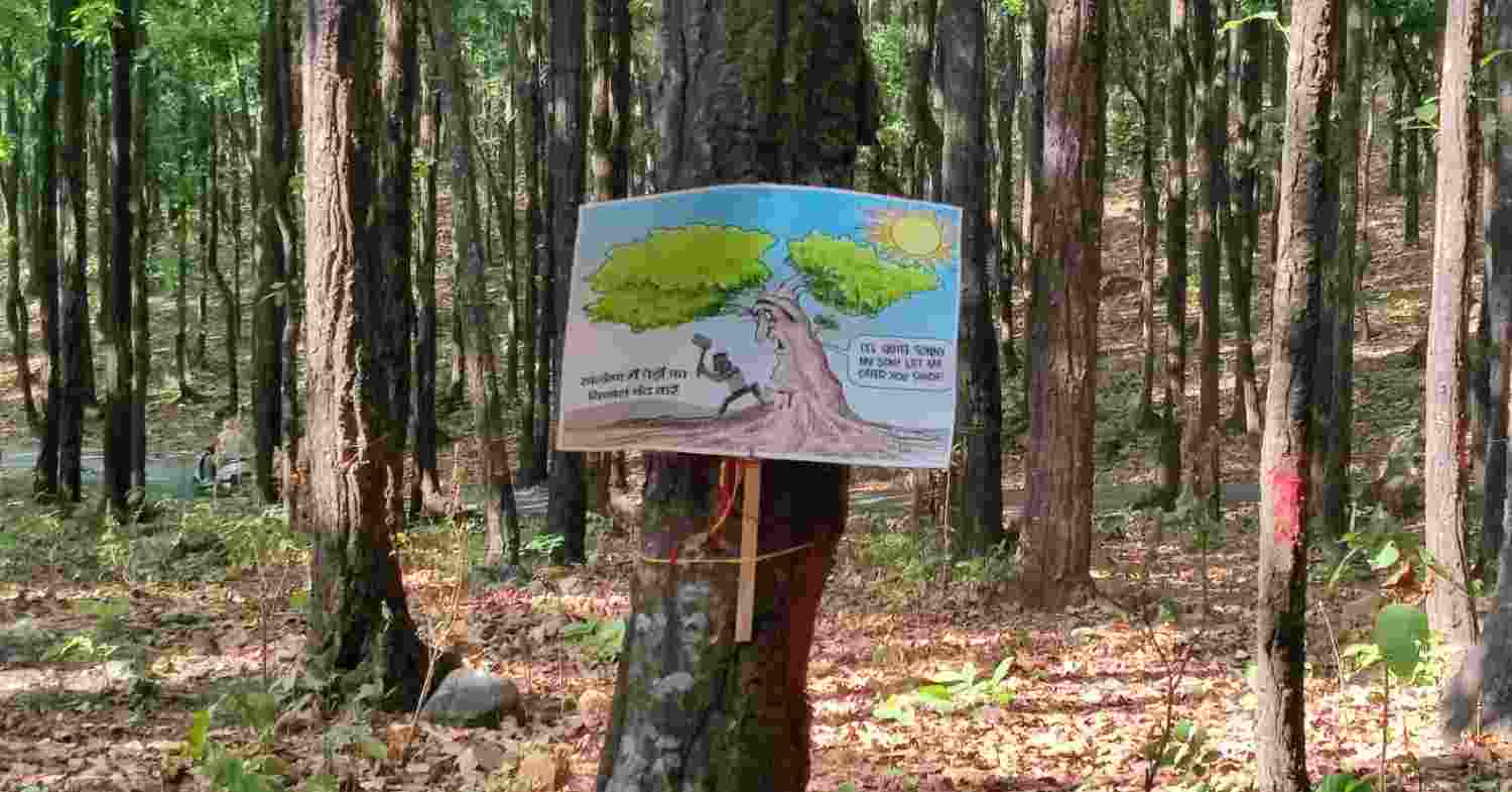 Uttarakhand water project threatens 2000 sal trees